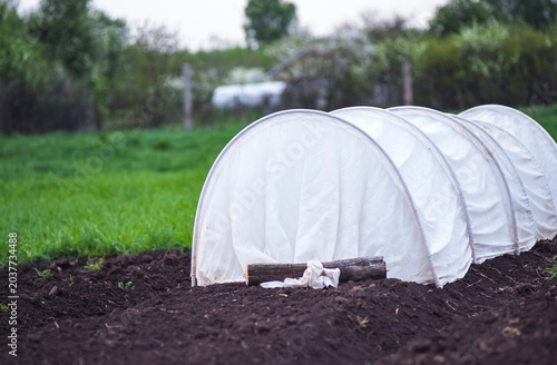 Small arched greenhouse in a spring garden