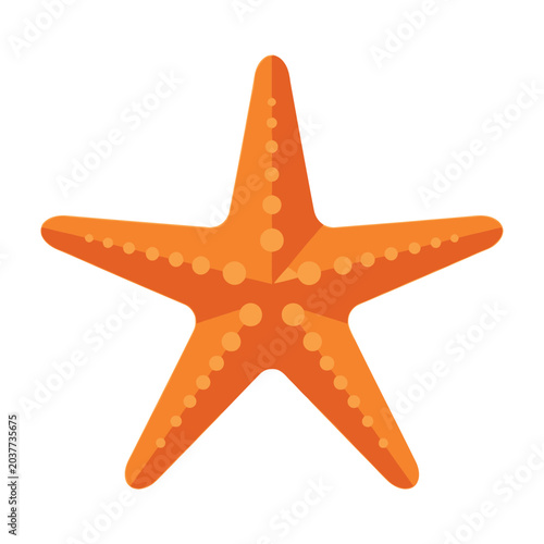 Orange starfish on white background