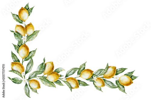 Watercolor Lemon corner composition with Citrus fruits, leaves and blossoms. Illustration of branch for invitations, packaging, textile and kitchen design. Template for frame and greeting card.