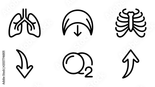 Foto Respiratory System Icons: Lungs, Diaphragm, Rib Cage, Inhale, Exhale, Oxygen Flo