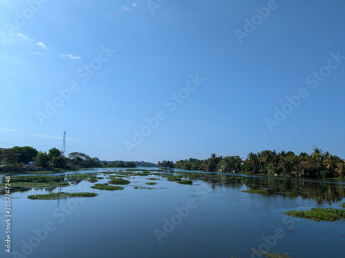 Bild auf Leinwand Serene Tropical River Landscape Under Clear Blue Sky in Sri Lanka