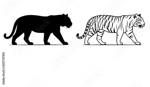 Photography Tiger walking silhouette and outline vector illustration wild animal side view s