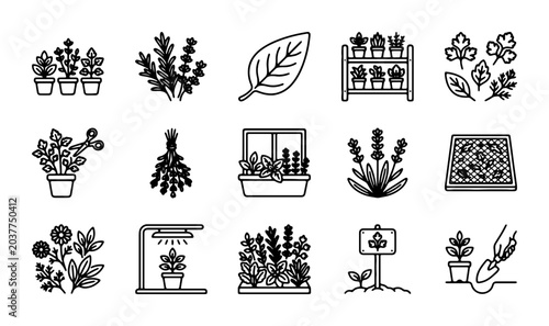 Foto Herbal Garden Icons Set, Potted Plants & Growing Elements, Botanical Line Art Co