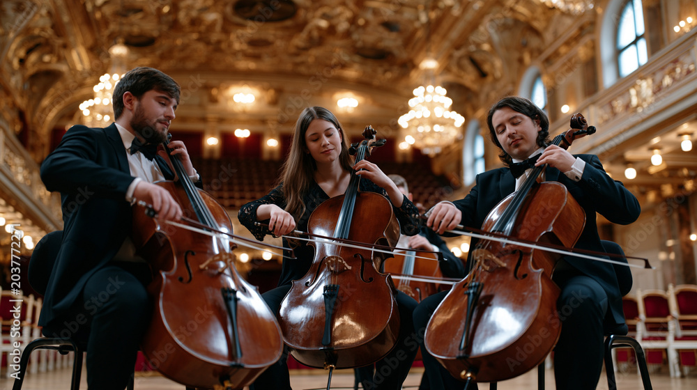 Fototapeta premium String quartet rehearses in candlelit ba 2