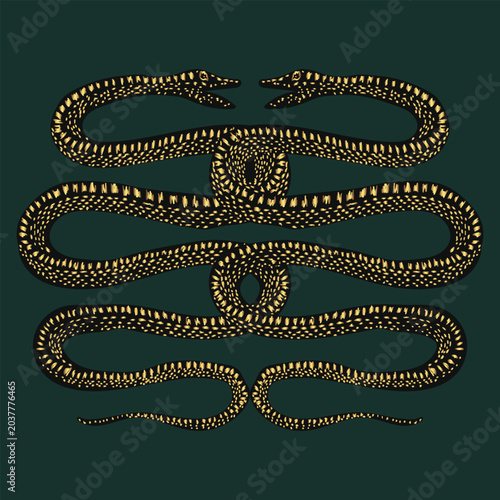 Golden snakes card, vector animal illustration, abstract design for poster