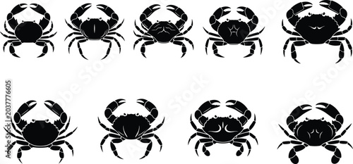 Foto Silhouettes of crabs in varied postures and shapes, showcasing marine diversity,
