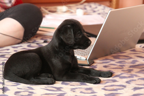 a diligent student - a future programmer