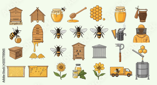 Collection of beekeeping equipment and honey products.