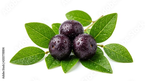 Fresh acai berries with green leaves and water drops isolated on white background