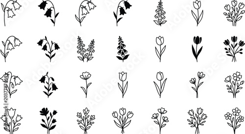 Bild auf Leinwand Set of hand-drawn floral icons featuring tulips, bellflowers, and various delica