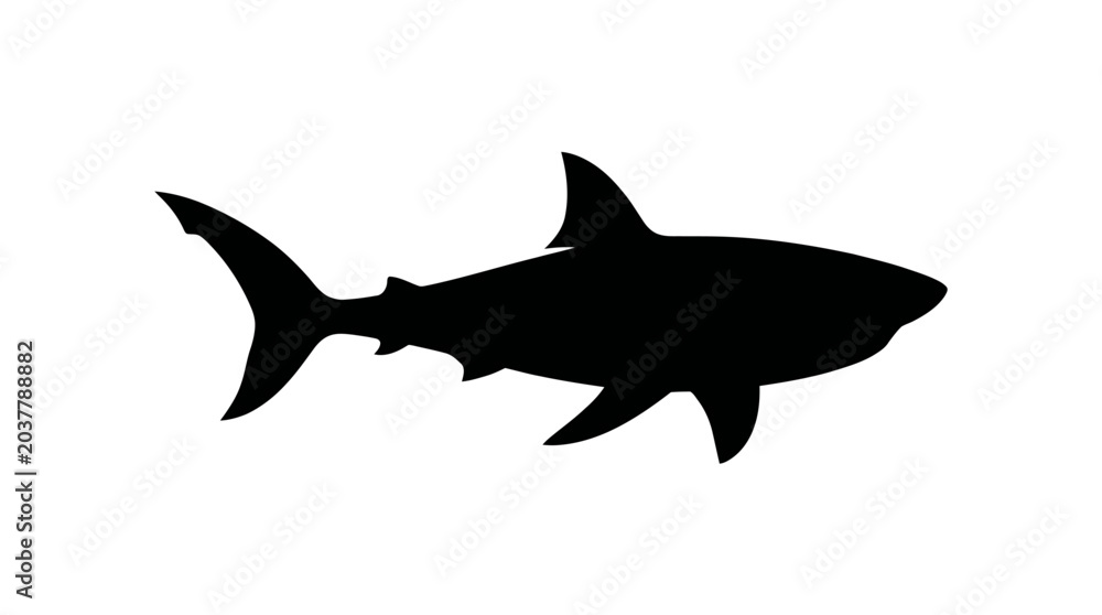 Fototapeta premium Black Silhouette of a Great White Shark on a White Background