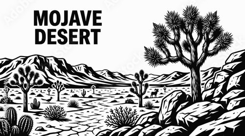 Fotografía Joshua trees in the Mojave Desert black and white vector representing iconic Ame