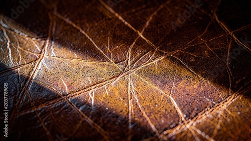 Handcrafted leather surface showing intricate crack pattern under warm sunlight