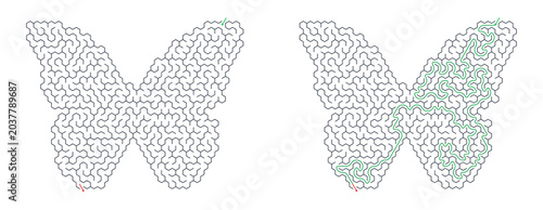 Butterfly Labyrinth Challenge with Answer Path