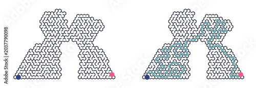Solved maze vector with pathways highlighted in blue and pink  