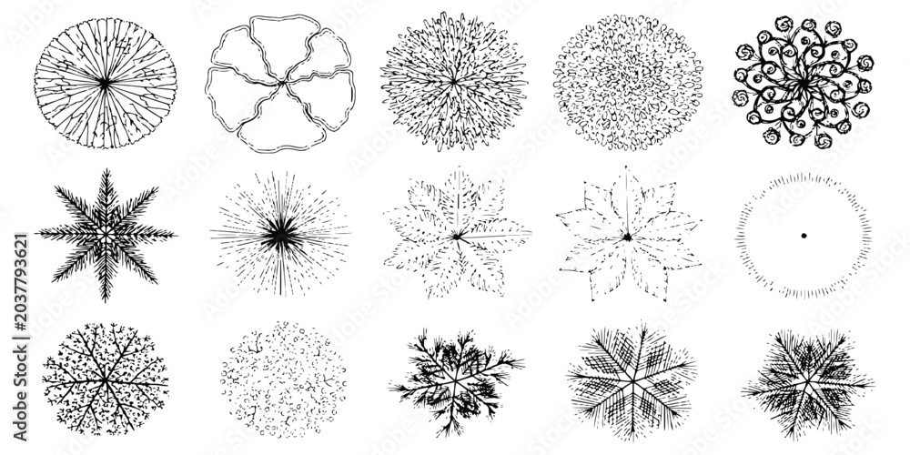 Obraz premium Top view collection of architectural trees bushes and plants for landscape design planning vector illustration.