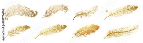 PNG Elegant golden feather collection, transparent background