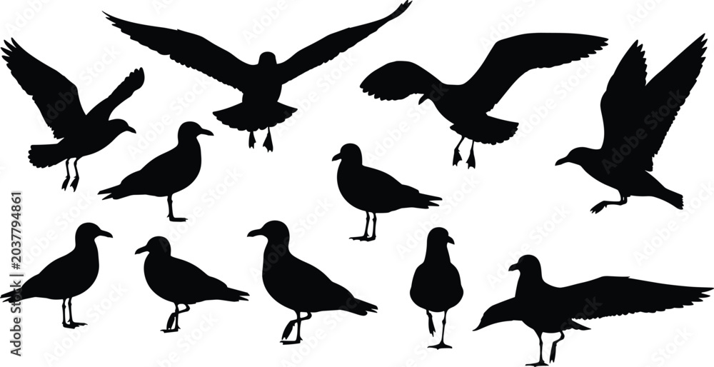 Fototapeta premium Seagull Bird Silhouette Collection with Flying Coastal Wildlife Poses for Nature Inspired Vector Illustration and Decorative Design Projects