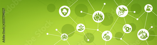 Bild auf Leinwand wildfire prevention & control illustration
