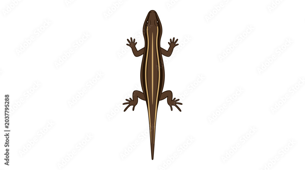 Fototapeta premium Brown Lizard with Stripes Top View Illustration PNG Isolated on transparent background