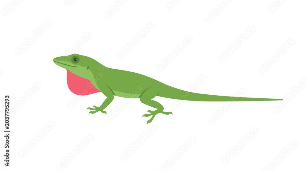 Fototapeta premium Green anole lizard with dewlap extended illustration PNG Isolated on transparent background