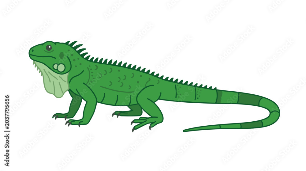 Fototapeta premium Green Iguana Reptile Illustration Standing Side View PNG Isolated on transparent background