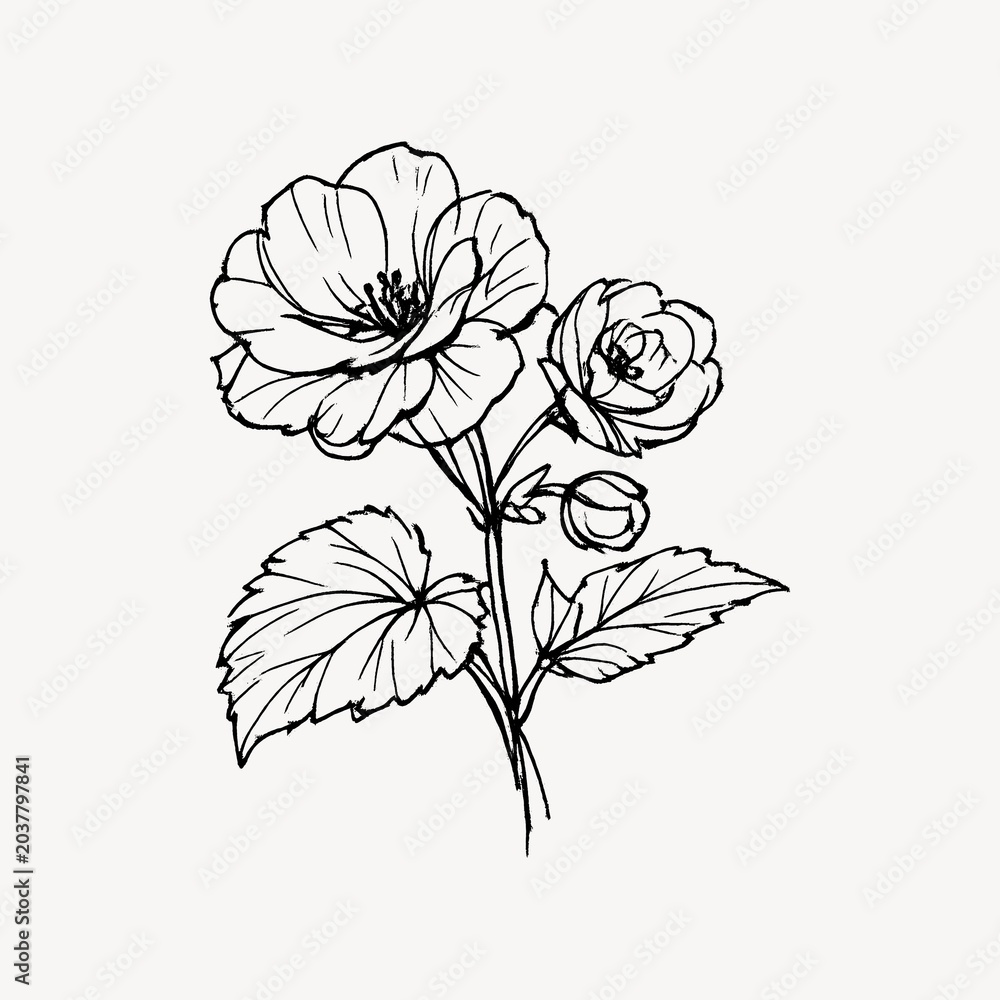 Obraz premium Elegant floral sketch art