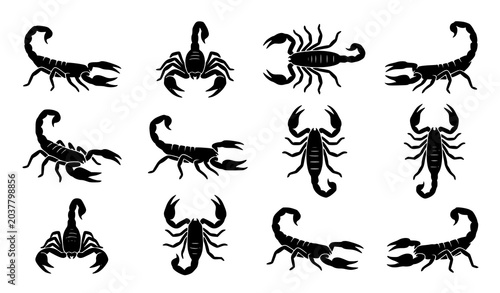 Foto Scorpion silhouette icon set with side front back and top view desert arachnid v