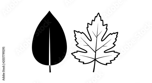Leaf Shapes In Black And White Line Art Silhouette