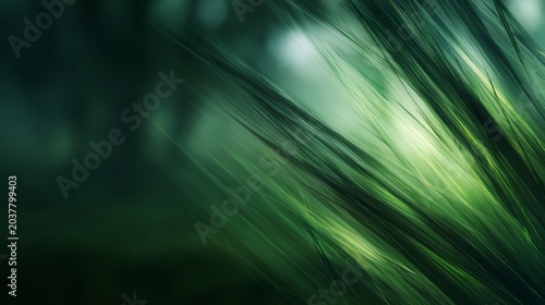 Abstraction, beautiful green tones, background, calm background