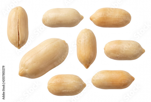 Canvastavla Collection of Shelled and Blanched Peanuts