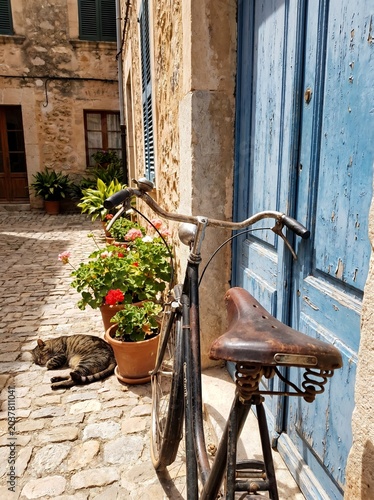 Vintage retro bicycle parked by rustic old blue wooden door in traditional European village street alley with sleeping tabby cat and flower pots