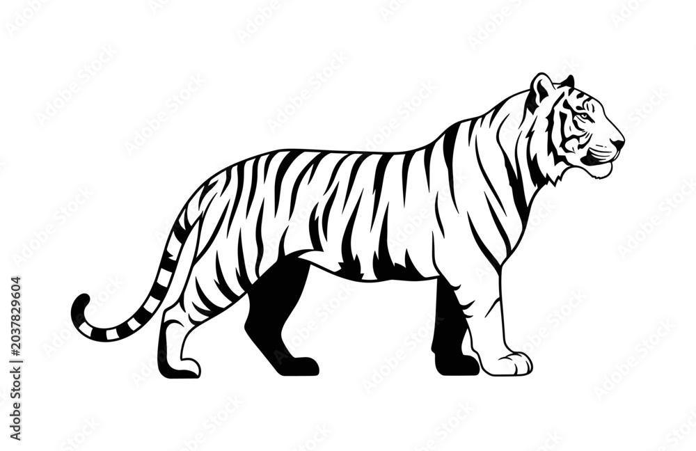 Fototapeta premium Tiger Silhouette Illustration