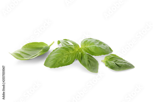 Green basil leaves on white...