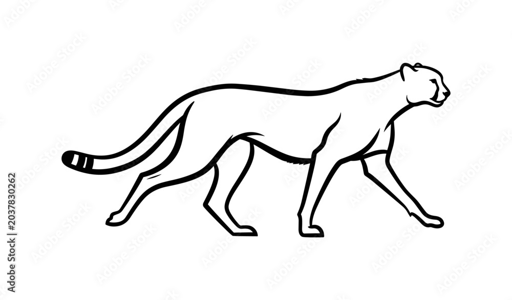 Fototapeta premium Cheetah Silhouette Walking