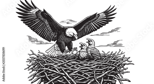 Canvastavla American bald eagle, nest, wildlife illustration, bird of prey, conservation sym
