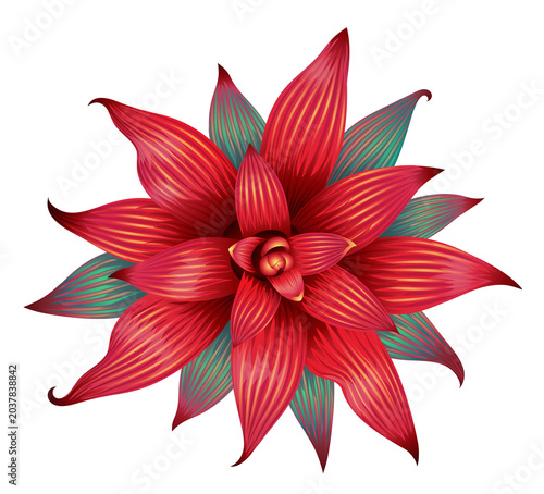 Red tropical flower illustration isolated on a transparent PNG background. Vibrant botanical design element with layered petals, perfect for floral, nature, and tropical themed projects.