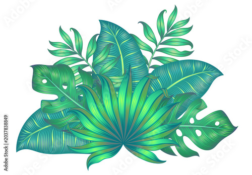 Tropical green leaf arrangement illustration isolated on a transparent PNG background. Decorative botanical composition with layered exotic foliage, ideal for nature, floral, and tropical themed proje