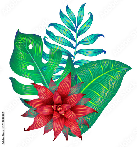 Tropical botanical composition with lush green leaves and a vibrant red flower isolated on a transparent PNG background. Decorative floral design element ideal for nature, tropical, and summer themed 