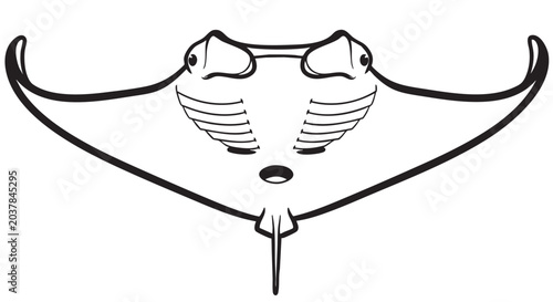 Photography Adobe Illustrator Artwork
