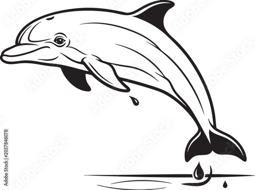 Obraz na płótnie Black and white dolphin jumping out of water, vector illustration, marine mammal
