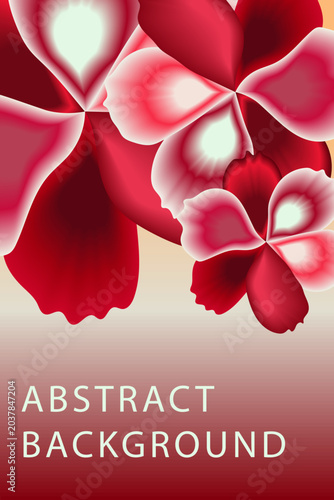 Greeting Card with Red Rose Flower and Pink Ribbon Floral Vector Design for Love Celebration and Invitation Decoration