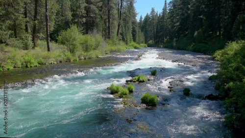 Colorful waters of the Metolius River flowing through a forest of Ponderosa Pine near Camp Sherman in central Oregon