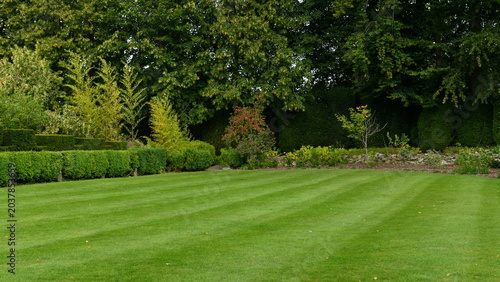 A perfectly mown green grass lawn displaying prominent mower stripes stretches across a lush English country garden. The beautifully manicured backyard turf is bordered by neatly trimmed low box hedge