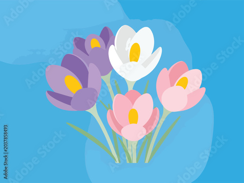 Photos Vibrant Crocus Flowers in Spring Bloom.