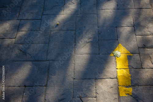 Photos Yellow arrow indicating the Way to Santiago de Compostela to pilgrims on their j