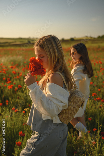 Two little girls running through blooming poppy field holding hands at sunset, warm childhood friendship atmosphere and joyful summer nature lifestyle concept