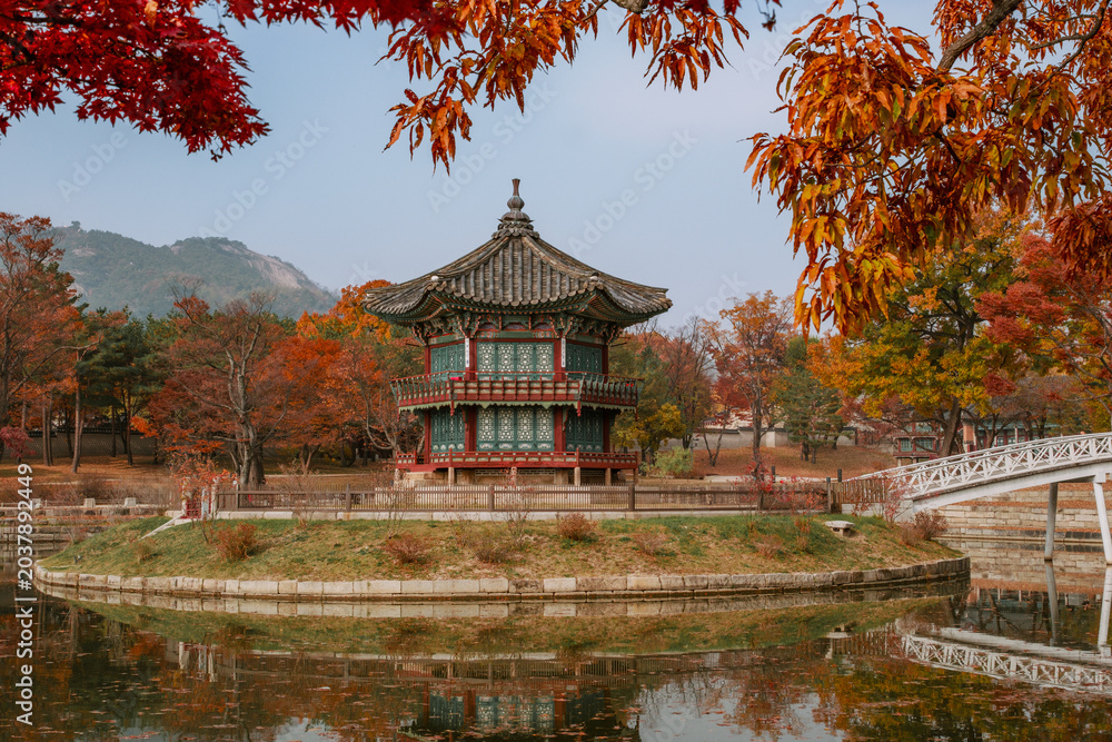 Obraz premium Gyeongbokgung Palace in Autumn - Seoul, South Korea