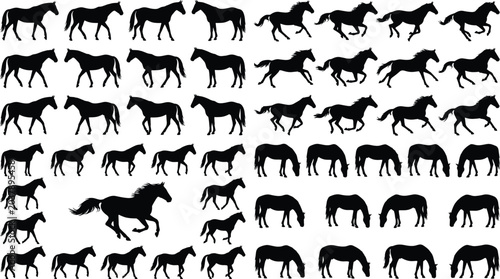Photos Stylized silhouettes of horses in motion including walking, trotting, galloping,