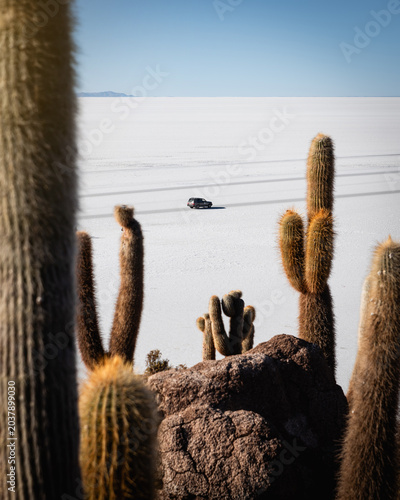 Foto salar de uyuni Isla Incahuasi